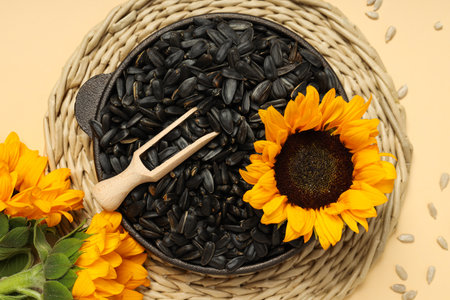 Sunflower seeds, concept of harvest, tasty snackの写真素材