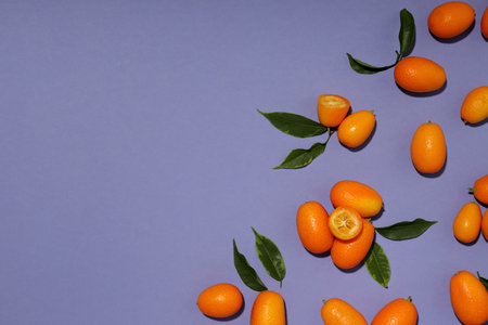 Whole and cut kumquat fruits and leaves on purple background, space for textの写真素材