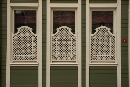 Lattice patterns enhance the charm of a green facade in the city