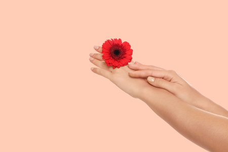 Hands nurture a bright flower symbolizing beauty and careの写真素材