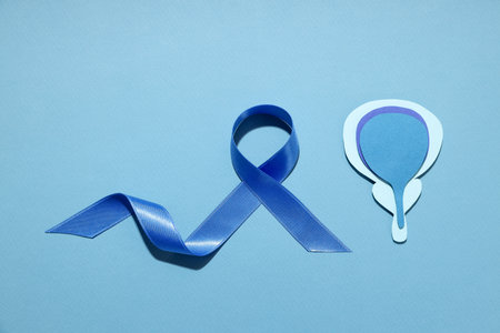 Blue ribbon and prostate cutout represent awareness and supportの写真素材
