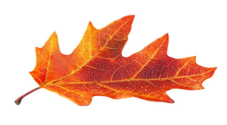 Bright orange maple leaf with detailed veins, created with AI