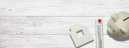 Thermometer measures indoor temp by piggy bank