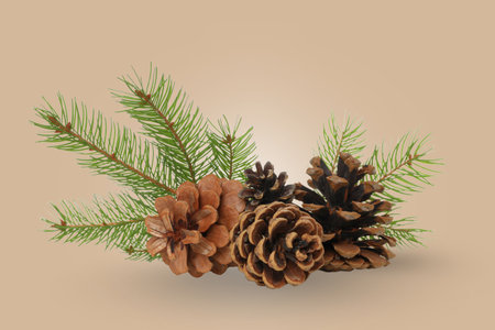 Arrangement of pine cones and evergreen branches for Christmas