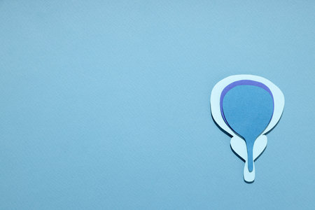 Graphic of the prostate and its health significanceの写真素材