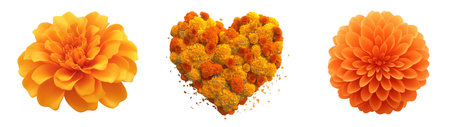 Colorful marigolds form a heart for the departed, created with AI, PNGの写真素材