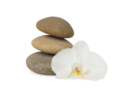 Calming arrangement of spa stones and white orchid, on white, PNGの写真素材
