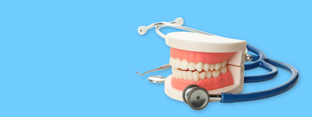 Tooth care shown with a dental model and stethoscopeの写真素材