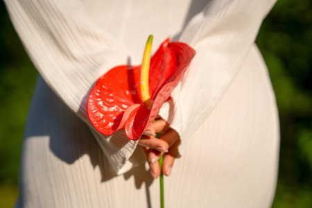Model with red anthurium flower in serene green landscapeの写真素材