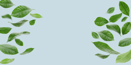 Leaves are floating against a light blue background with space
