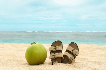 Coconut and sandals sit on the sandy beach in Bali