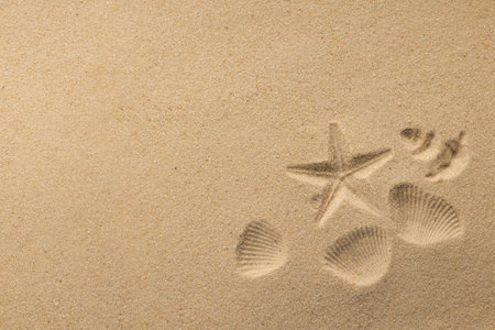 Starfish and seashells are resting on warm beach sand