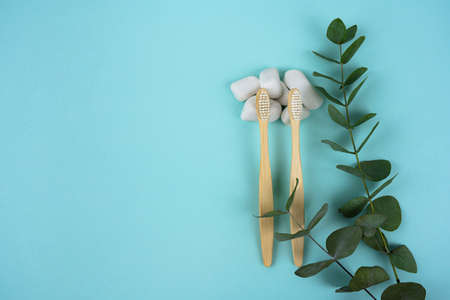 Bamboo toothbrushes with a sprig of eucalyptus and white stones on a mint background. Freshness and hygiene concept. Copy spaceの写真素材