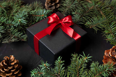 Black gift tied with a red ribbon on a background with branches of a Christmas tree and pine cones on a dark background.の写真素材