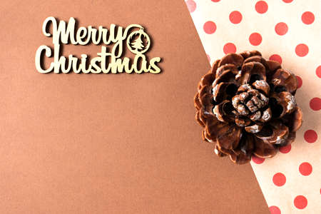 Pinus pinea, stone pine cone. Brown italian pine cone. Christmas concept. Copy space, top viewの写真素材