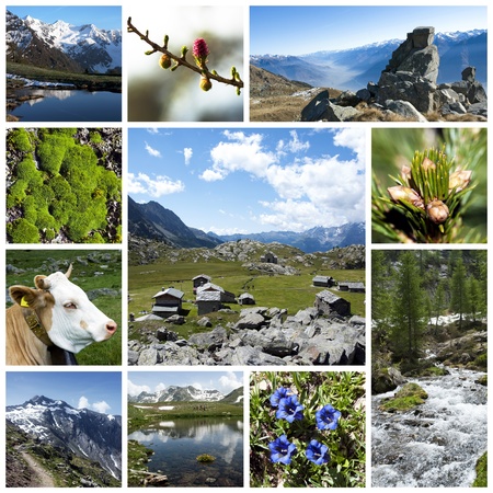 Alps collageの写真素材