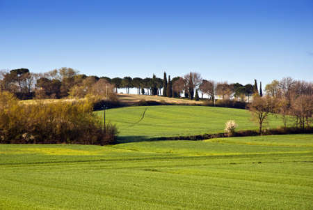 Tuscany landscapeの写真素材