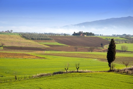 Tuscany landscapeの写真素材