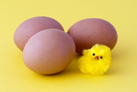 A little chick and three eggs on yellow background - Easter theme