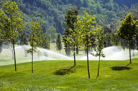 Irrigation sprinklers on golf course in early morning light の写真素材