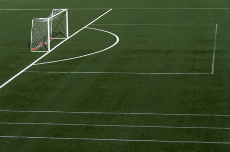 soccer field grass with net goal