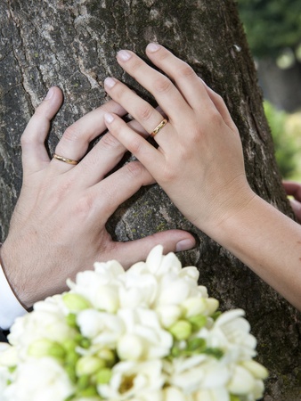 Bride and groom hands resting on a tree trunkの写真素材