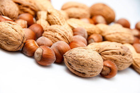 mixed nuts - hazelnuts, walnuts and peanuts