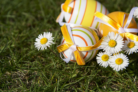 Easter eggs in the garden between daisies