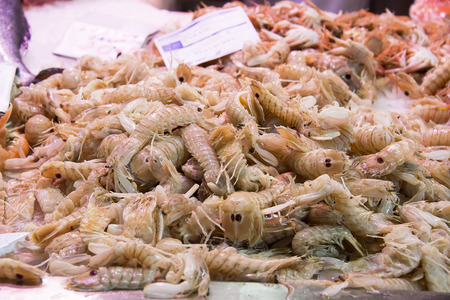 Shrimps in ice in a fish marketの写真素材