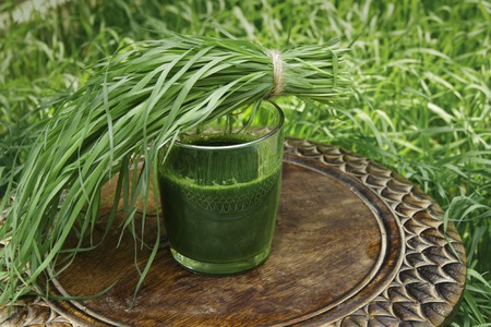 glass of wheatgrass juice on a brown wooden table with fresh wheat herbs and wheat spikelet against the background of a green wheat grassの写真素材