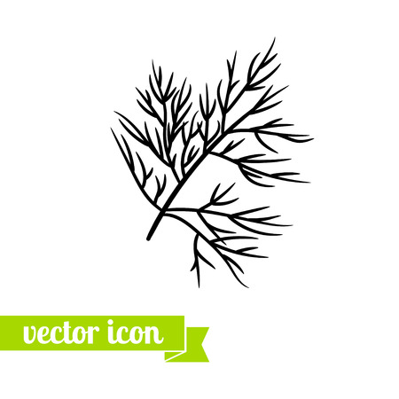 dill flat icon vector for web design, logo and lable. herb icon, dill pictogramのイラスト素材