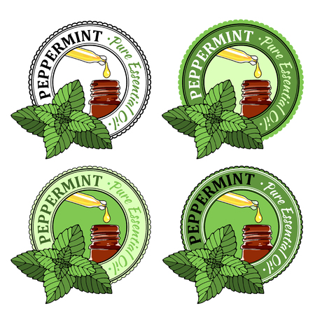 Peppermint, vector illustration of aromatic plant. Set of essential oil labels. Pure essential oil product. Colorful Sticker or Label Isolated on White Background.のイラスト素材