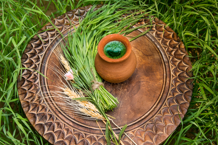 Wheatgrass juice in a clay pot on a brown wooden table with fresh wheat herbs and wheat spikelet against the background of a green wheat grassの写真素材