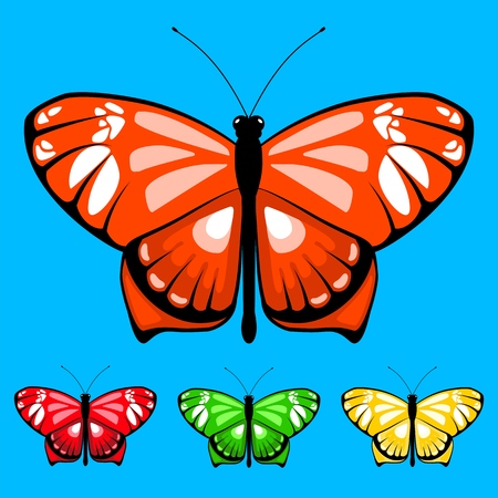 vector butterfly set 13のイラスト素材