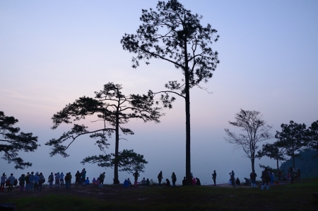 Loei, Thailand - October 12  Climbers looking a sunrise on 12 October 2013 at Pha Nok Aen Cliff in Phu Kradueng National Park of thailandのeditorial素材