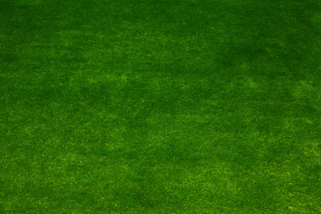 Background of a green grass textureの写真素材