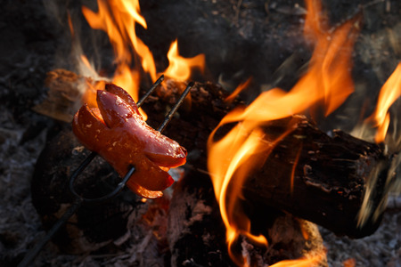 Czech Traditional barbecue sausages on a stick, roasted on a campfire - typical czech outdoor activity with friends or familyの写真素材
