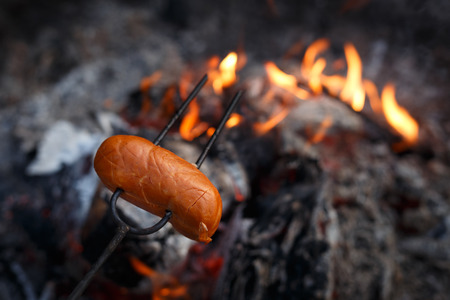 Czech Traditional barbecue sausages on a stick, roasted on a campfire - typical czech outdoor activity with friends or familyの写真素材