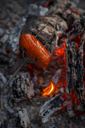 Czech Traditional barbecue sausages on a stick, roasted on a campfire - typical czech outdoor activity with friends or familyの写真素材