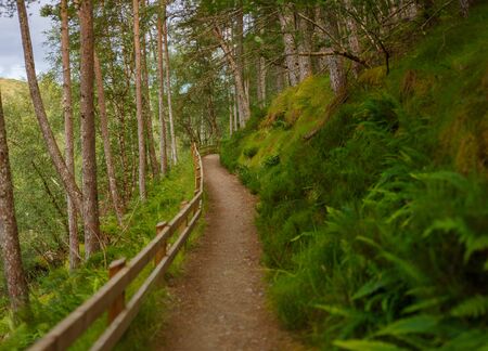 Hiking path leading along the Corrieshalloch Gorge National Nature Reservation near Braemore, Garve, Scotland, UKの写真素材