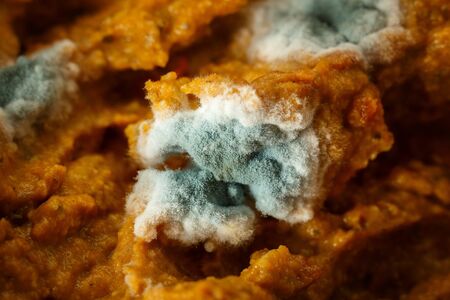 Old Green Fungus with White Fury Spots Growing on a bread spreadの写真素材