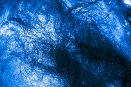 Abstract Concept of Neural Network in Living Creatures, Big Bang, Worm Hole in Space or Time Travellingの写真素材