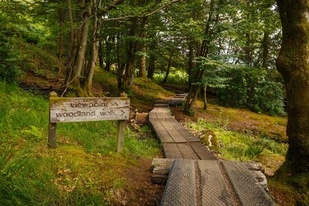 Woodland Walk Trail to the Famous Glenfinnan Viaduct View Point, in Scotland, UKの写真素材