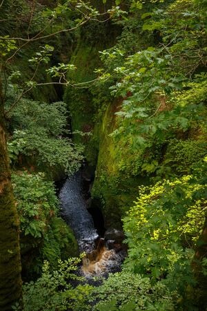 View on the Devilâs Pulpit gorge from the nearby cliff, near Glasgow, Scotland, UKの写真素材