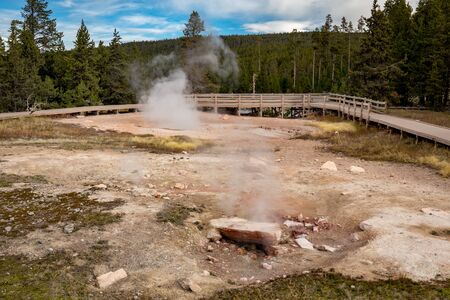 Jet Geyser at Fountain Paint Pot trail in Yellowstone National Park, Wyoming, USA
