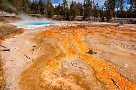 Silex Spring at Fountain Paint Pot trail in Yellowstone National Park, Wyoming, USAの写真素材