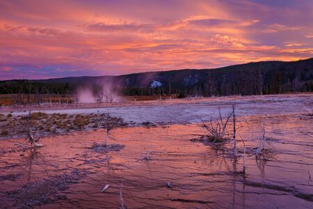 Biscuit basin with purple reflection on a steamy water and beautiful colorful sunset. Yellowstone, Wyoming, USAの写真素材