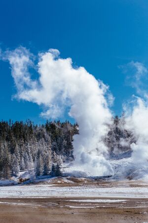 Colorful Porcelain Basin area trail with steaming vents and fumaroles in Yellowstone National Park,...