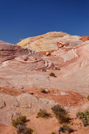 Fire wave with swirly layers of deposited sandstone during wonderful sunny day with blue sky, in Valley of Fire State Park, Nevada, USAの写真素材