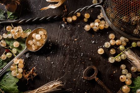 Top view of an empty copy space surrounded by white currant berries on a dark wooden tableの写真素材